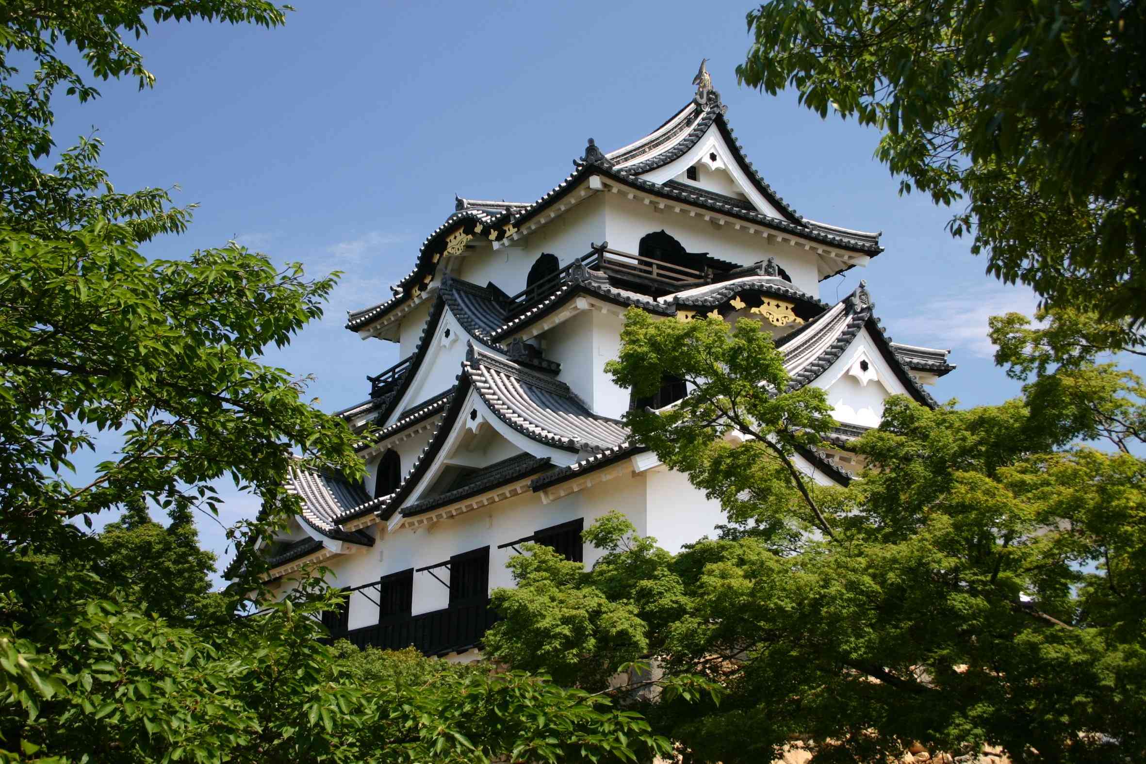 Hikone Castle #8