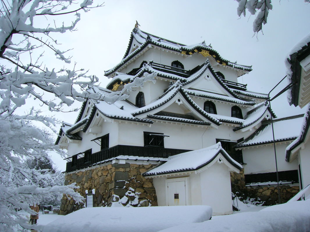 Hikone Castle #2