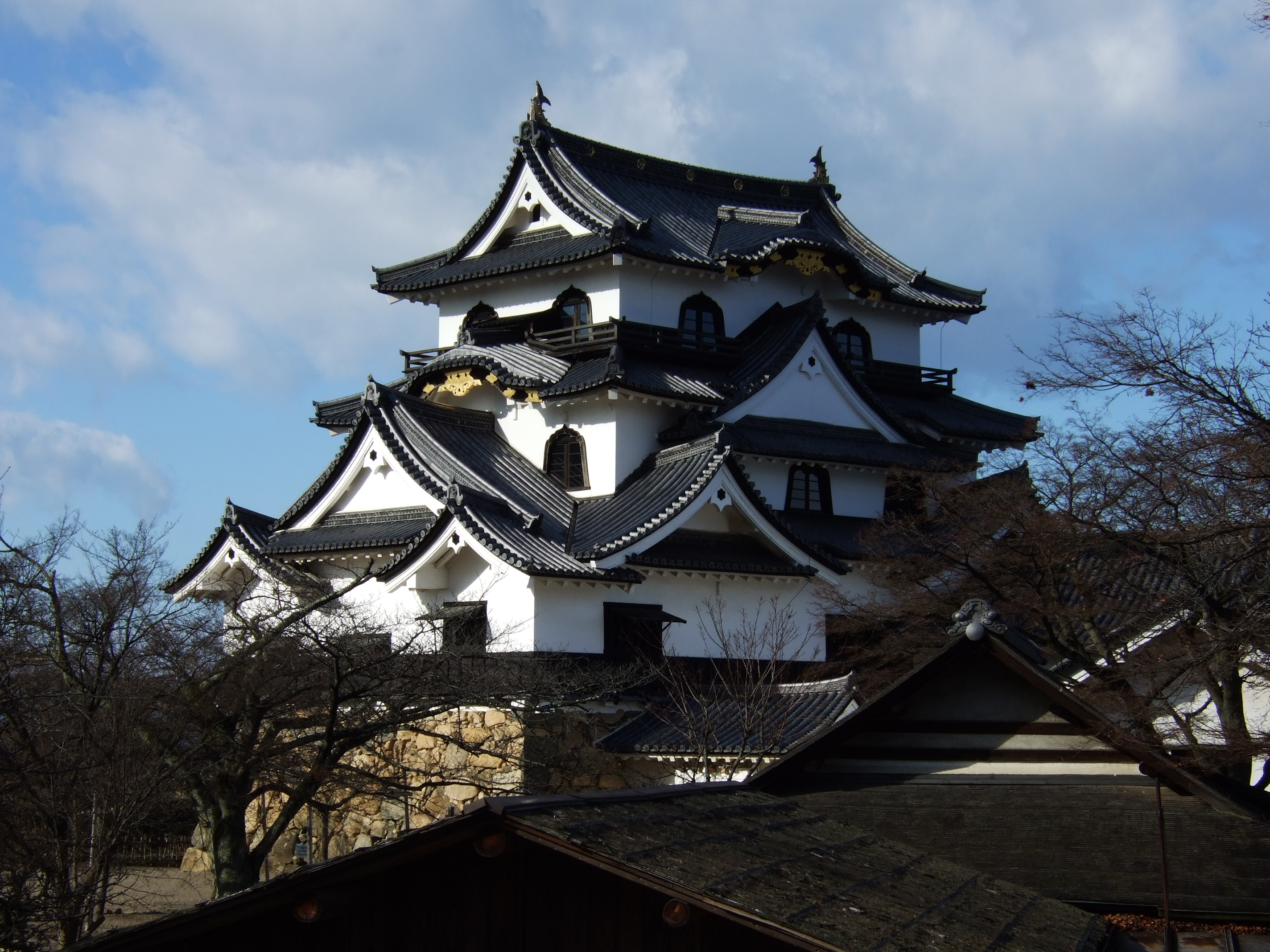 Hikone Castle #7