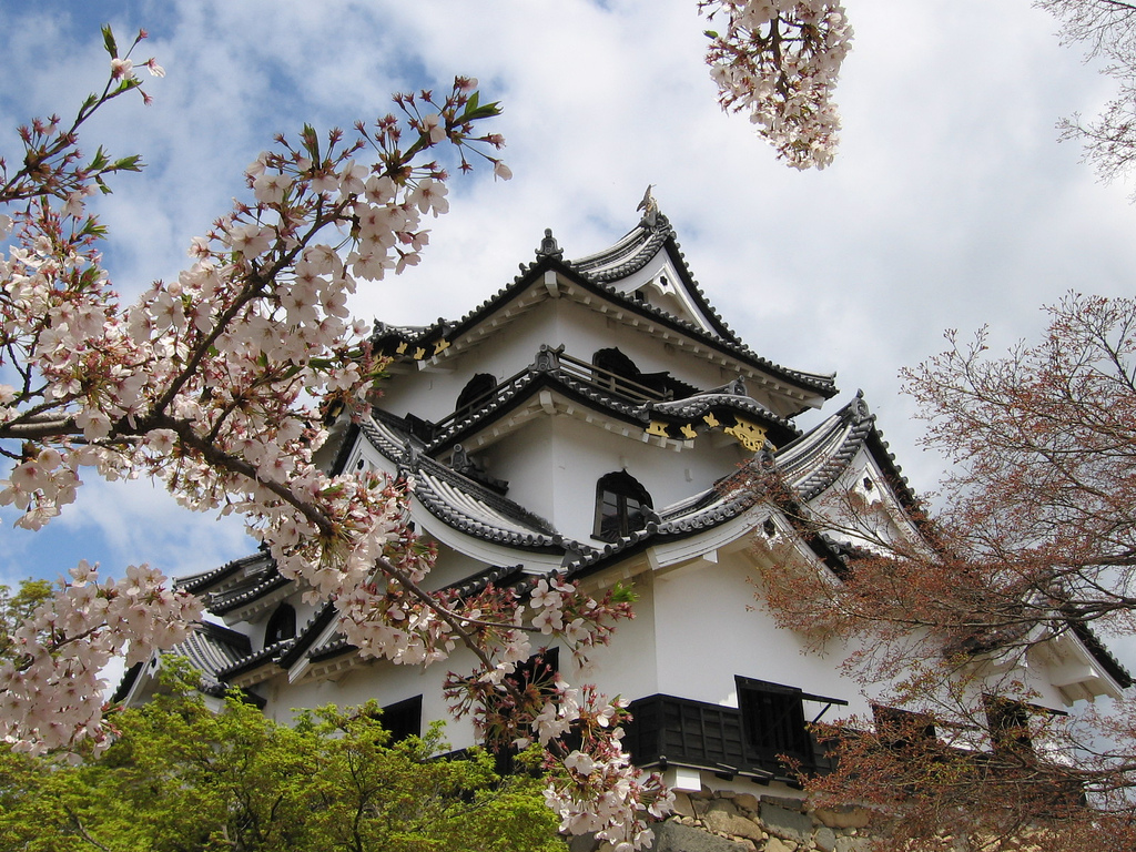 Hikone Castle #3