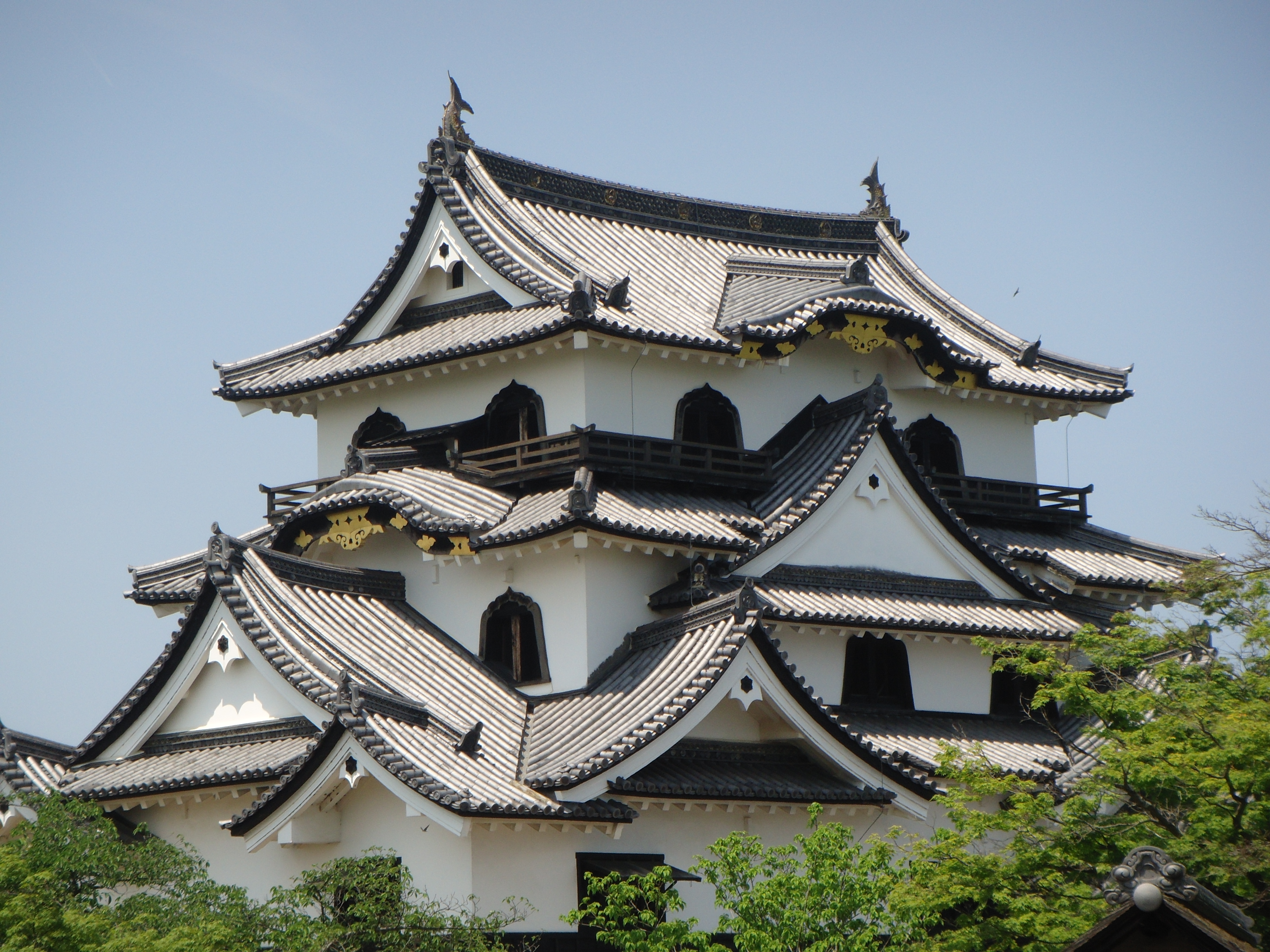 Hikone Castle #10