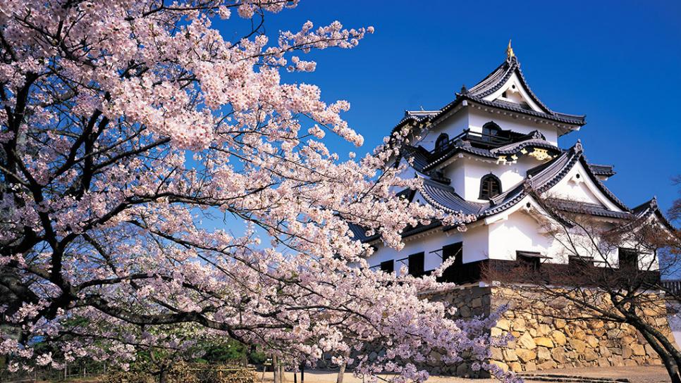 Hikone Castle #17