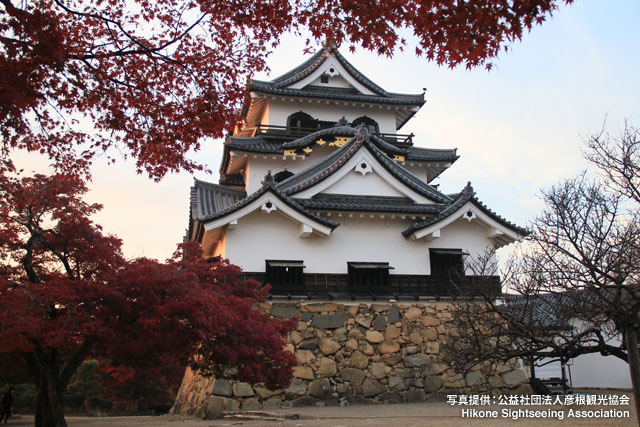Amazing Hikone Castle Pictures & Backgrounds
