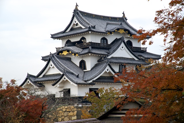 Hikone Castle #18