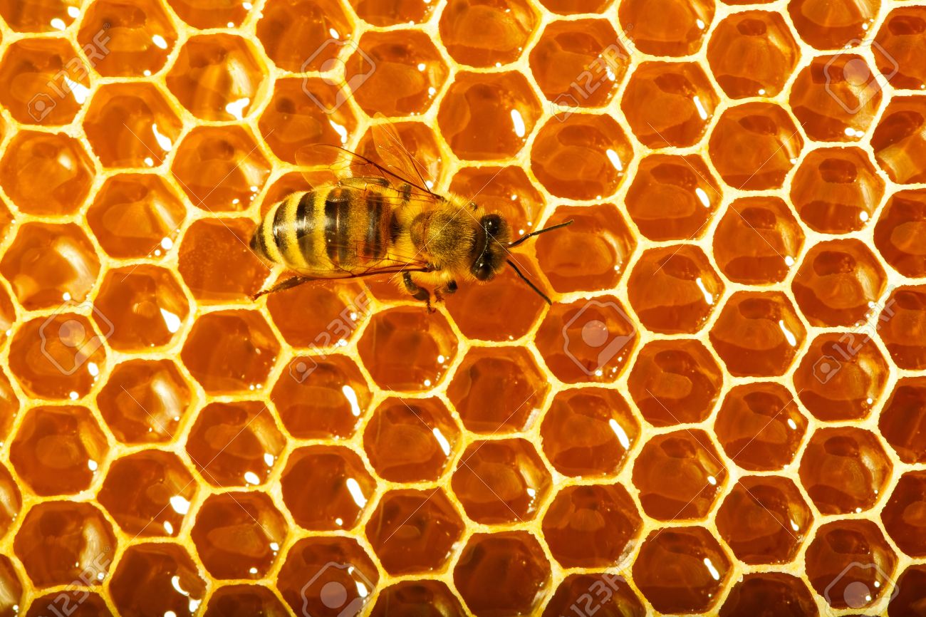 Honeycomb #7