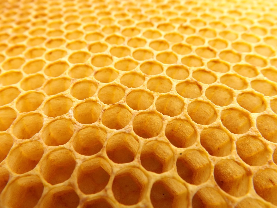 Honeycomb #19