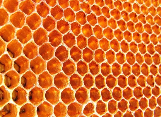 HQ Honeycomb Wallpapers | File 236.7Kb