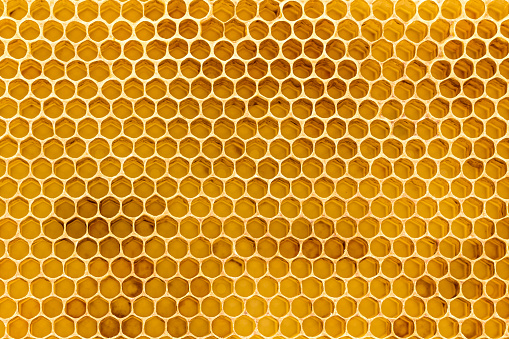Honeycomb #13