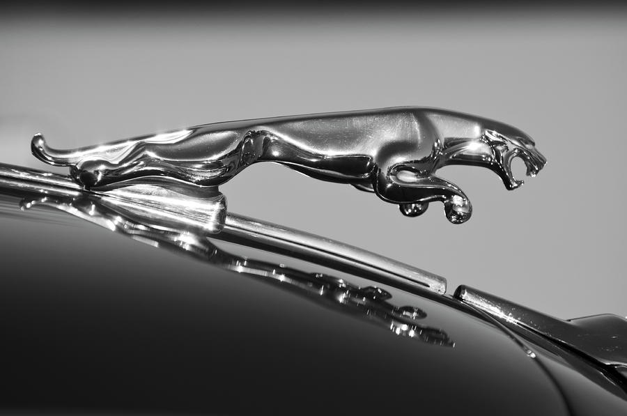 Hood Ornament High Quality Background on Wallpapers Vista