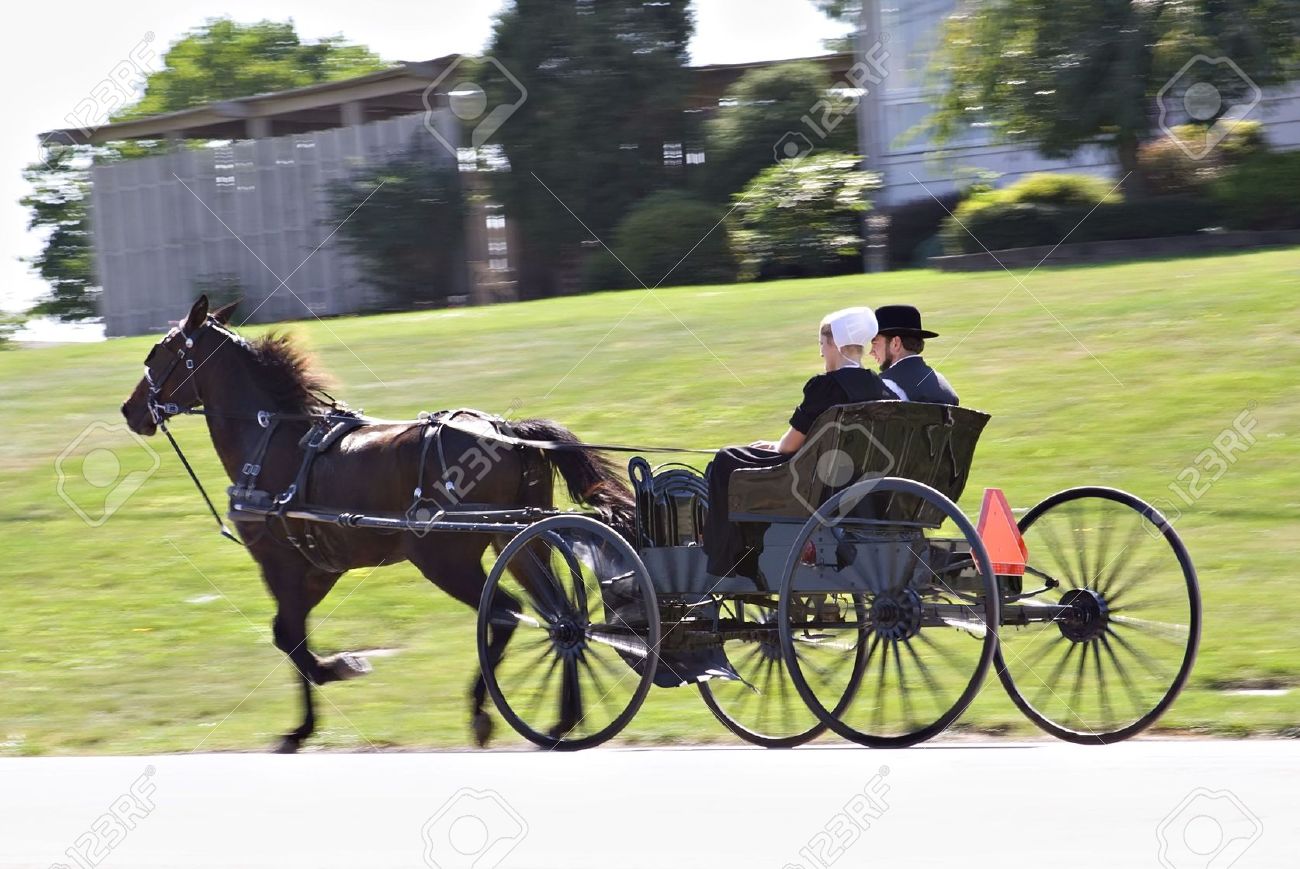 1300x869 > Horse Drawn Buggy Wallpapers