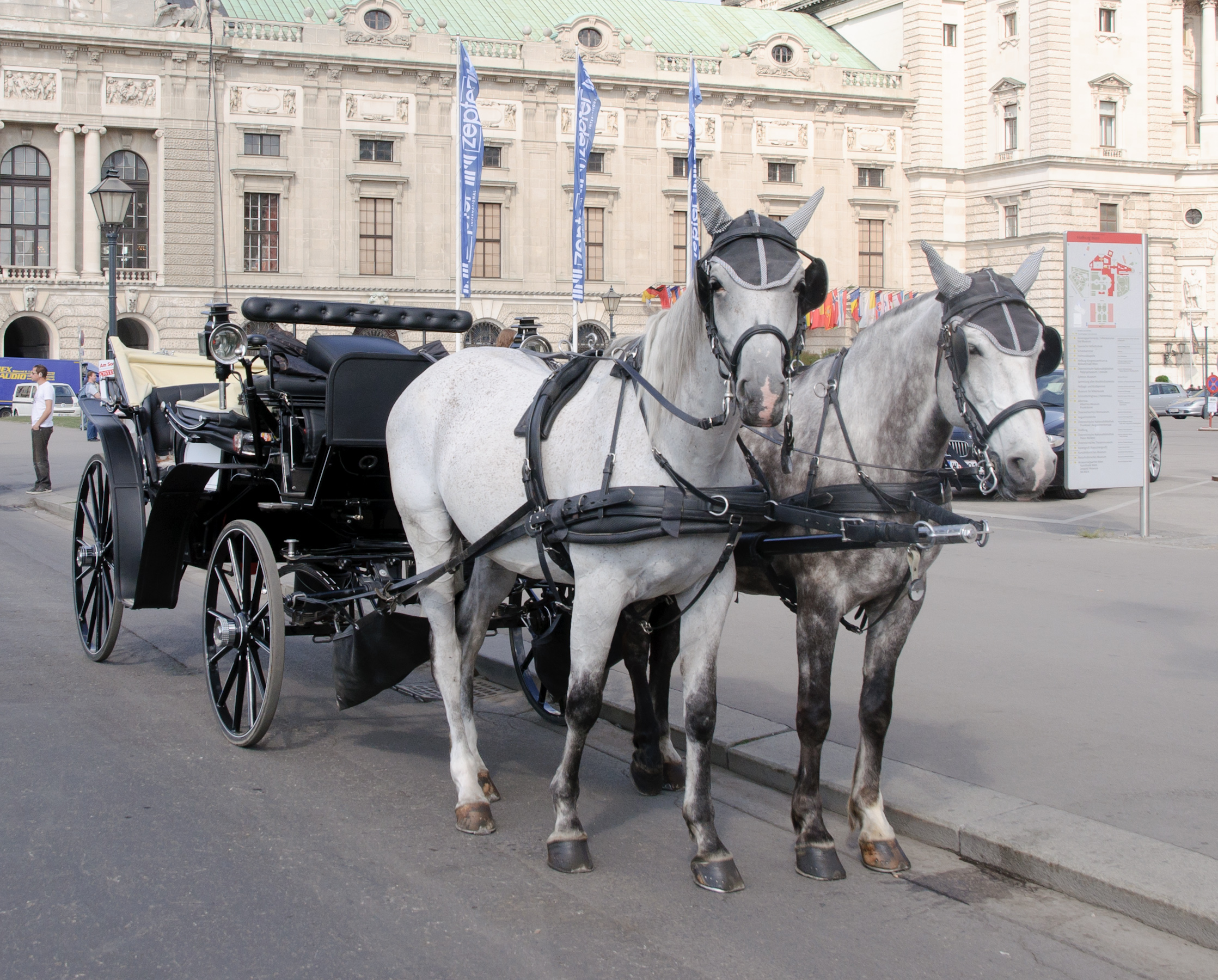 Horse Drawn Buggy Backgrounds, Compatible - PC, Mobile, Gadgets| 2237x1800 px