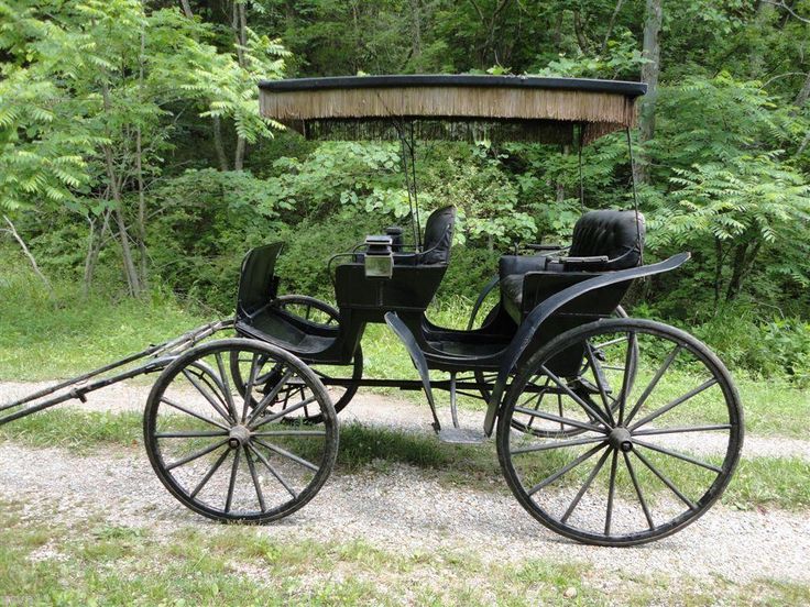 Horse Drawn Buggy Pics, Vehicles Collection