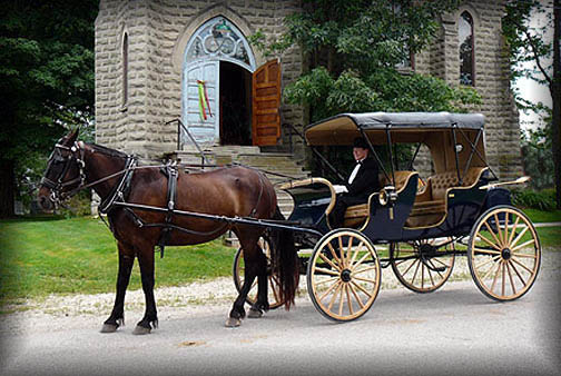 Horse Drawn Buggy Backgrounds, Compatible - PC, Mobile, Gadgets| 504x338 px