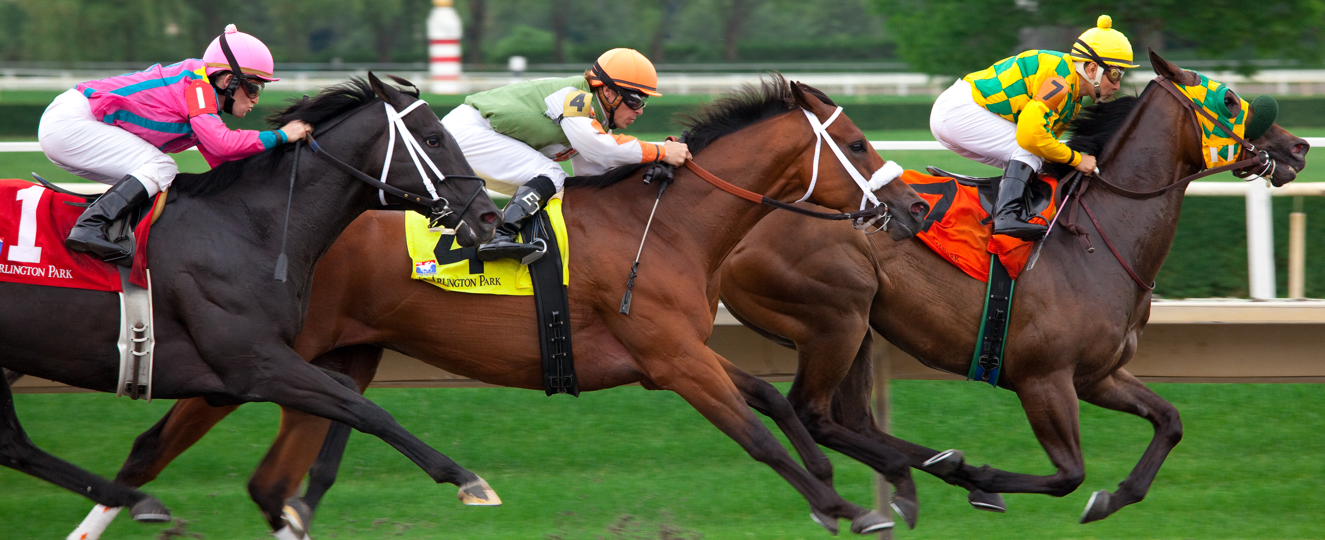 Download Latest HD Wallpapers of , Sports, Horse Racing