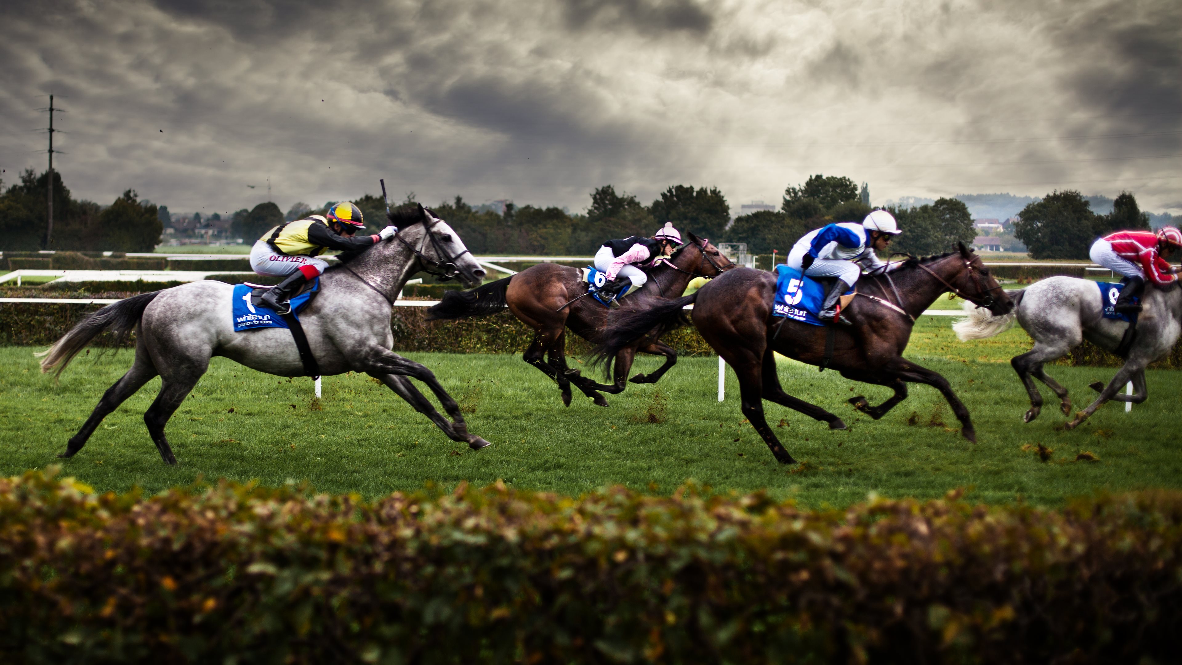 Images of Horse Racing | 3840x2160