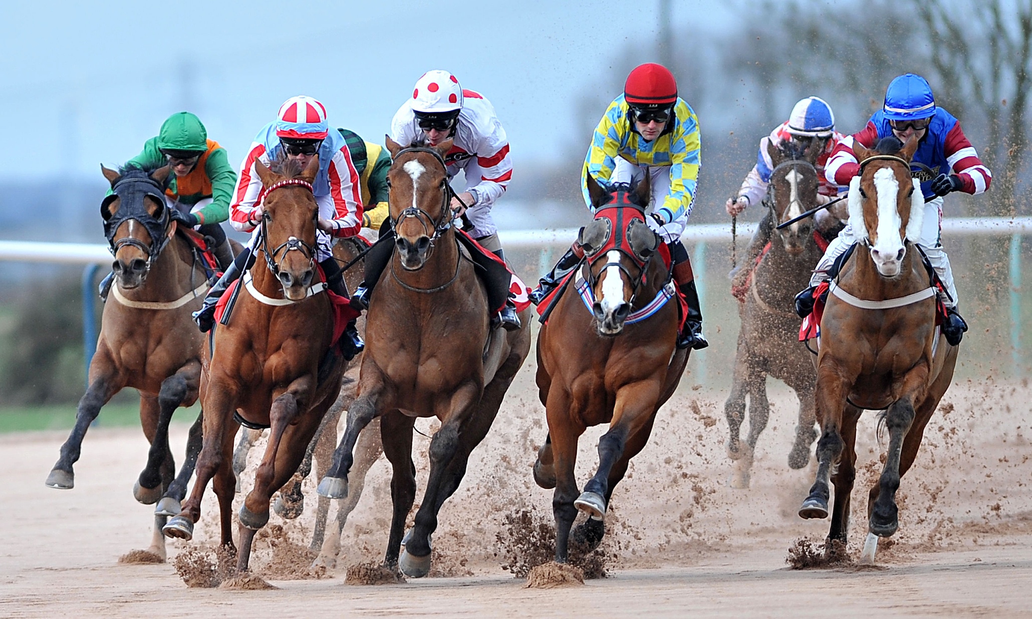 Amazing Horse Racing Pictures & Backgrounds