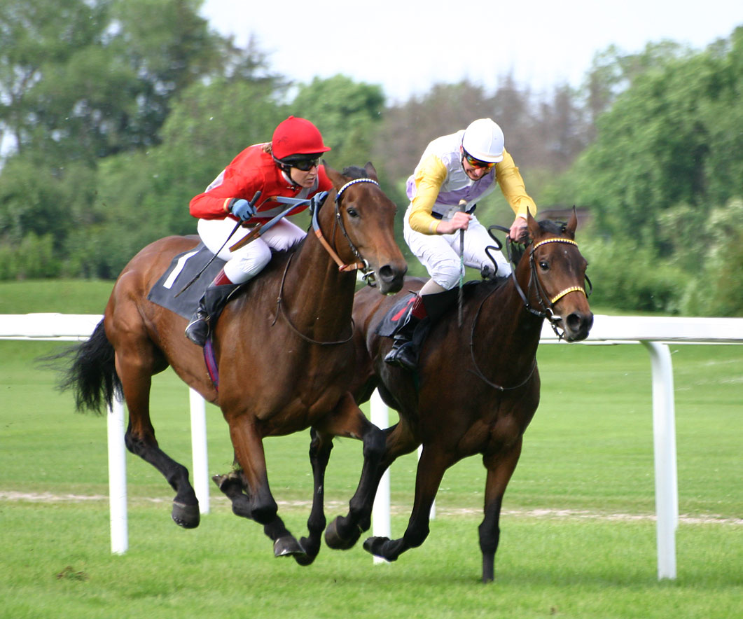Horse Racing High Quality Background on Wallpapers Vista