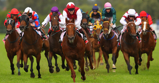 Images of Horse Racing | 545x285