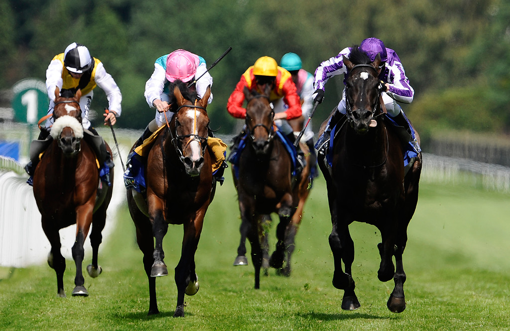 Amazing Horse Racing Pictures & Backgrounds