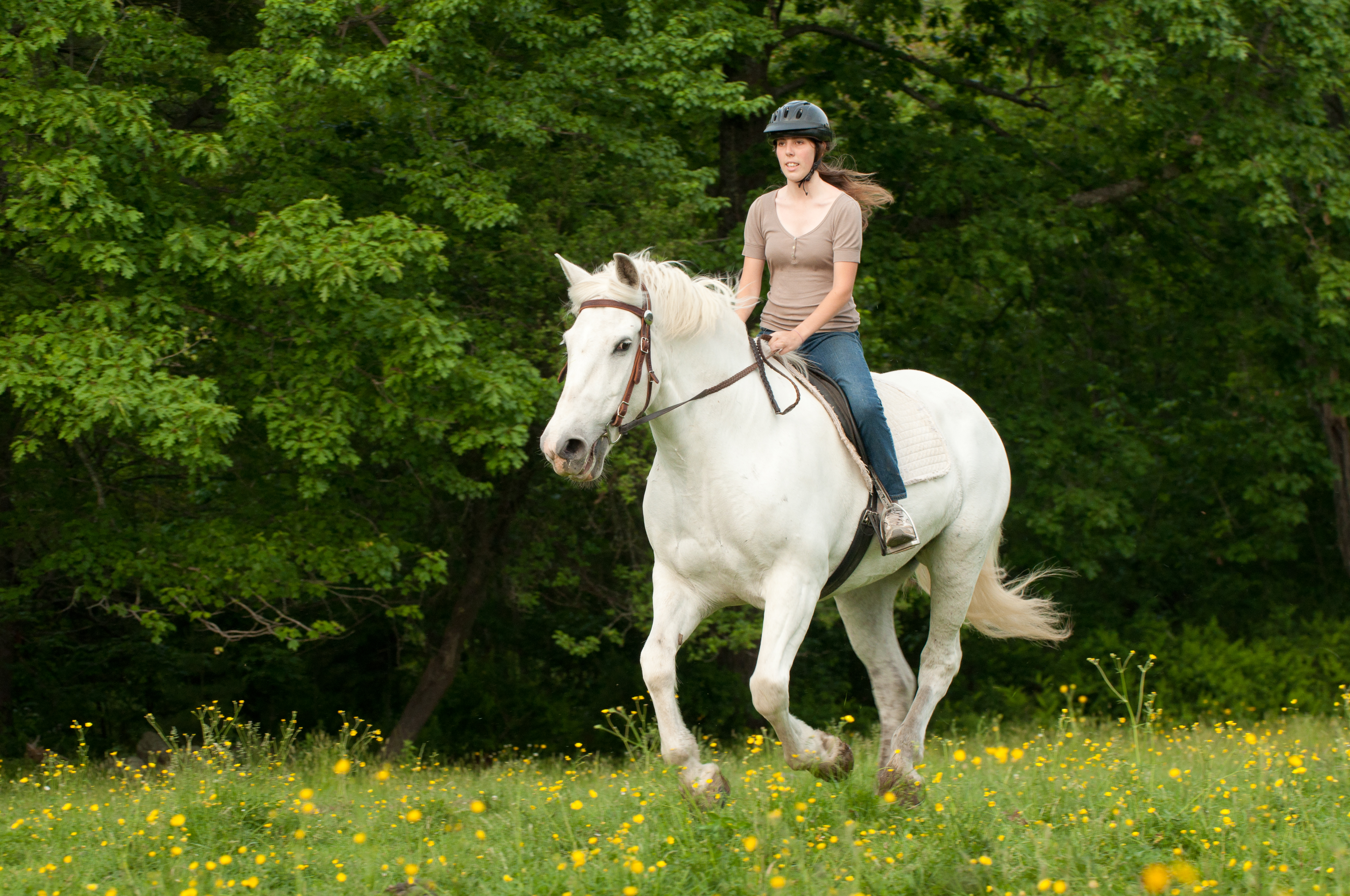 Horse Riding High Quality Background on Wallpapers Vista