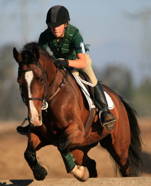 Horse Riding Pics, Photography Collection