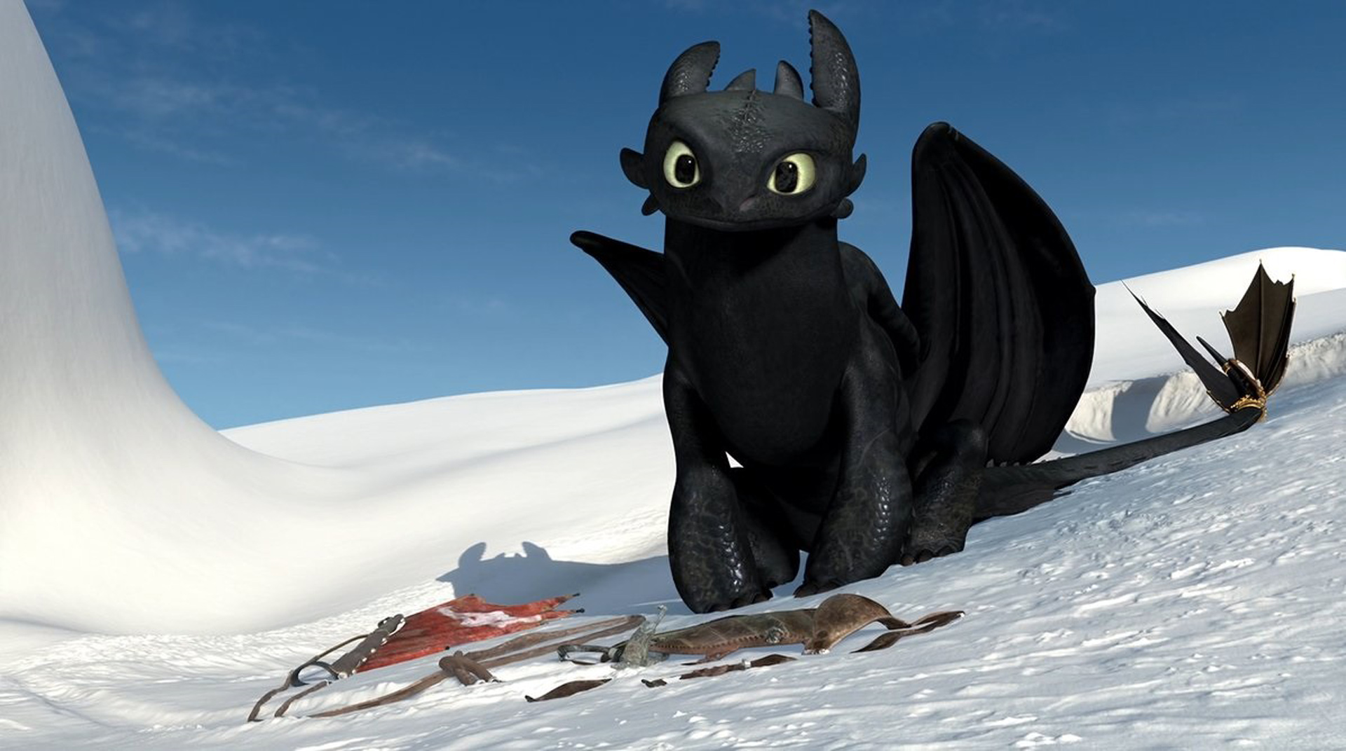 How To Train Your Dragon #7