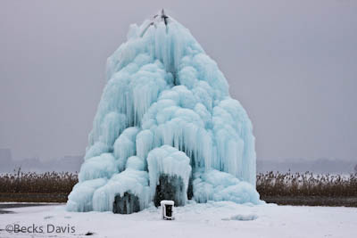 Ice Tree #20