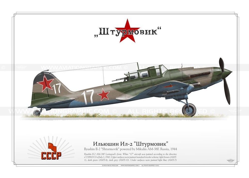 Ilyushin Il-2 #15