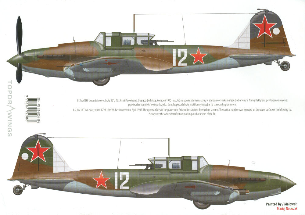 Ilyushin Il-2 #16