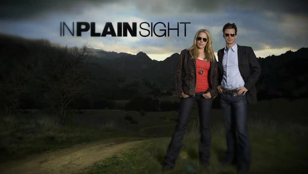 In Plain Sight High Quality Background on Wallpapers Vista