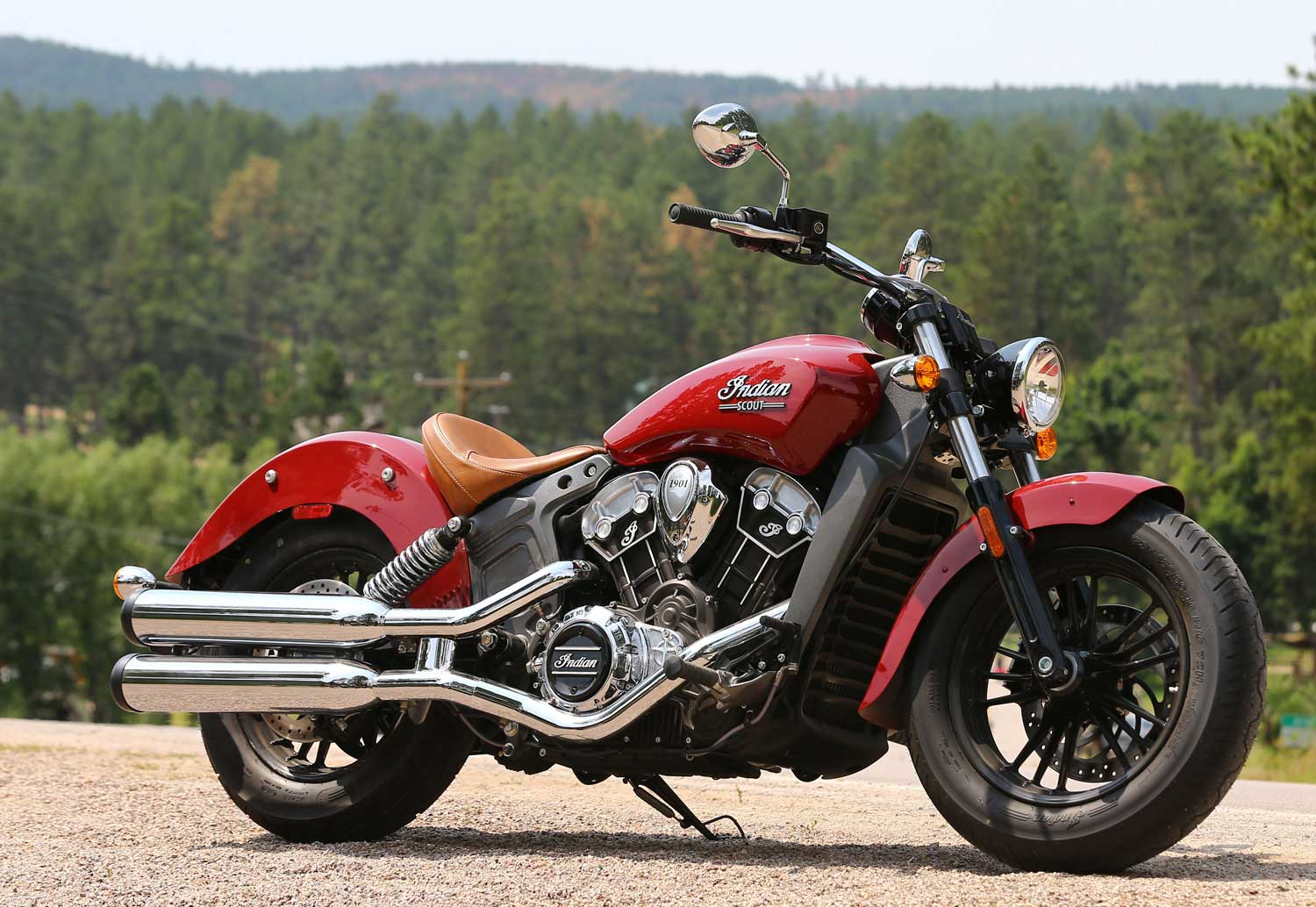 Indian Scout #7