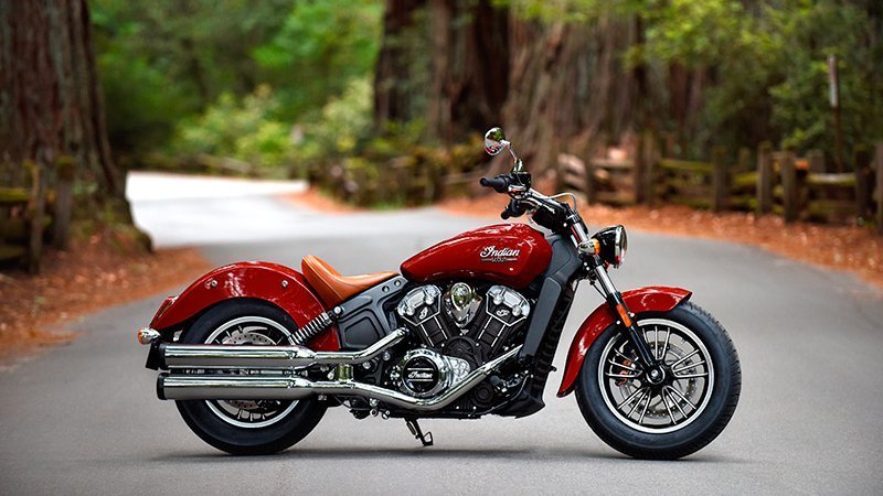 Indian Scout #15