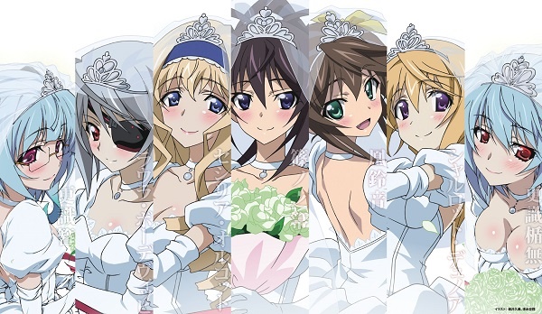 Nice Images Collection: Infinite Stratos Desktop Wallpapers