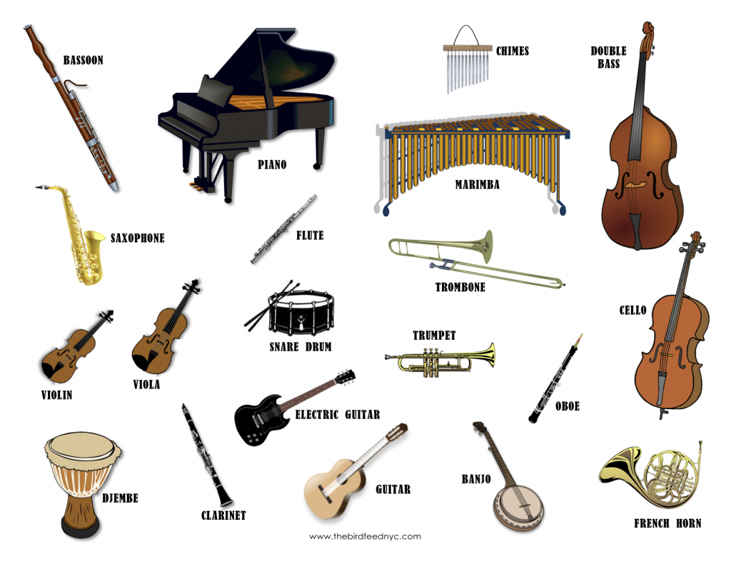Images of Instrument | 1024x790