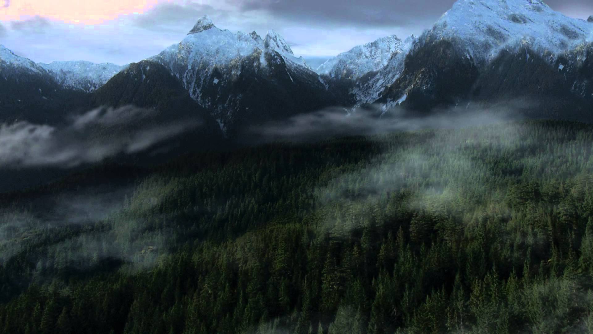 1920x1080 > Into The Grizzly Maze Wallpapers