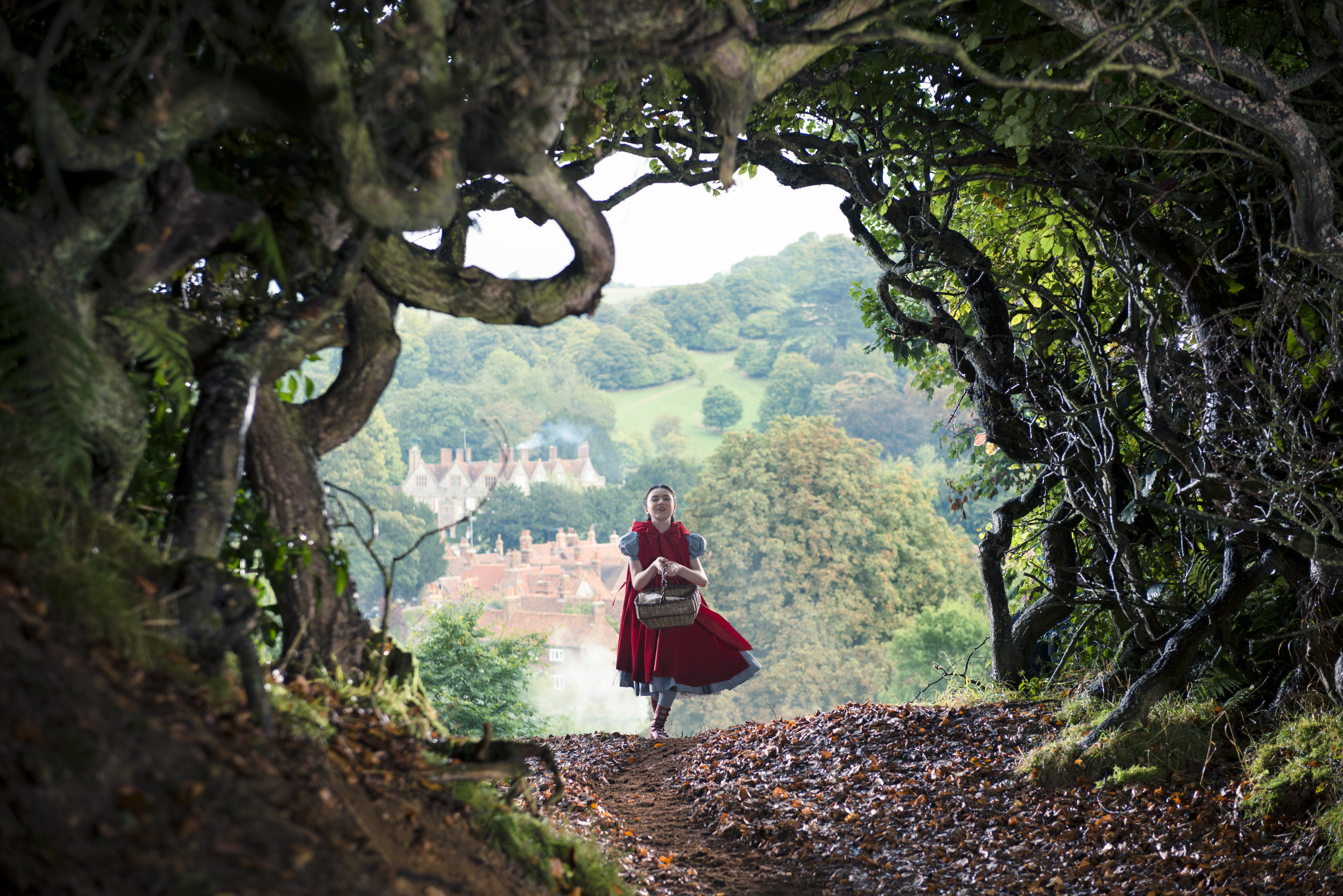 Into The Woods (2014) #9