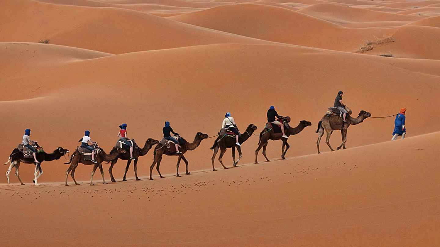 Караван сегодня. Марокко пустыня Караваны. Пустыня Раджастхан. Караван марокканских верблюдов дромедаров. Тунис Караван.