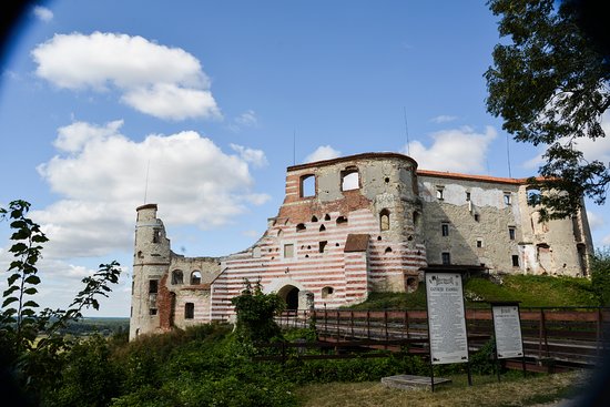 Janowiec Castle #19
