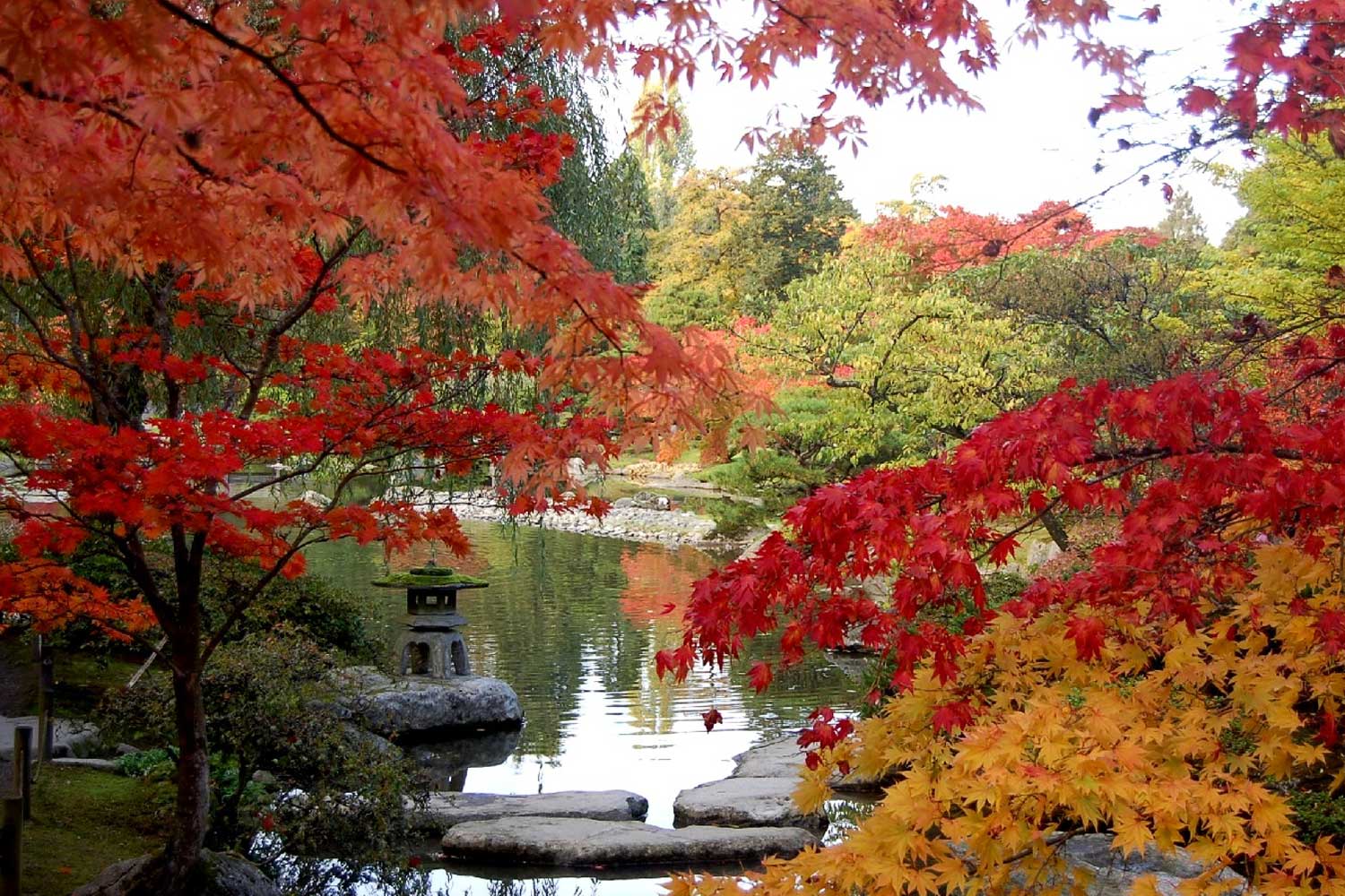 Japanese Garden #3