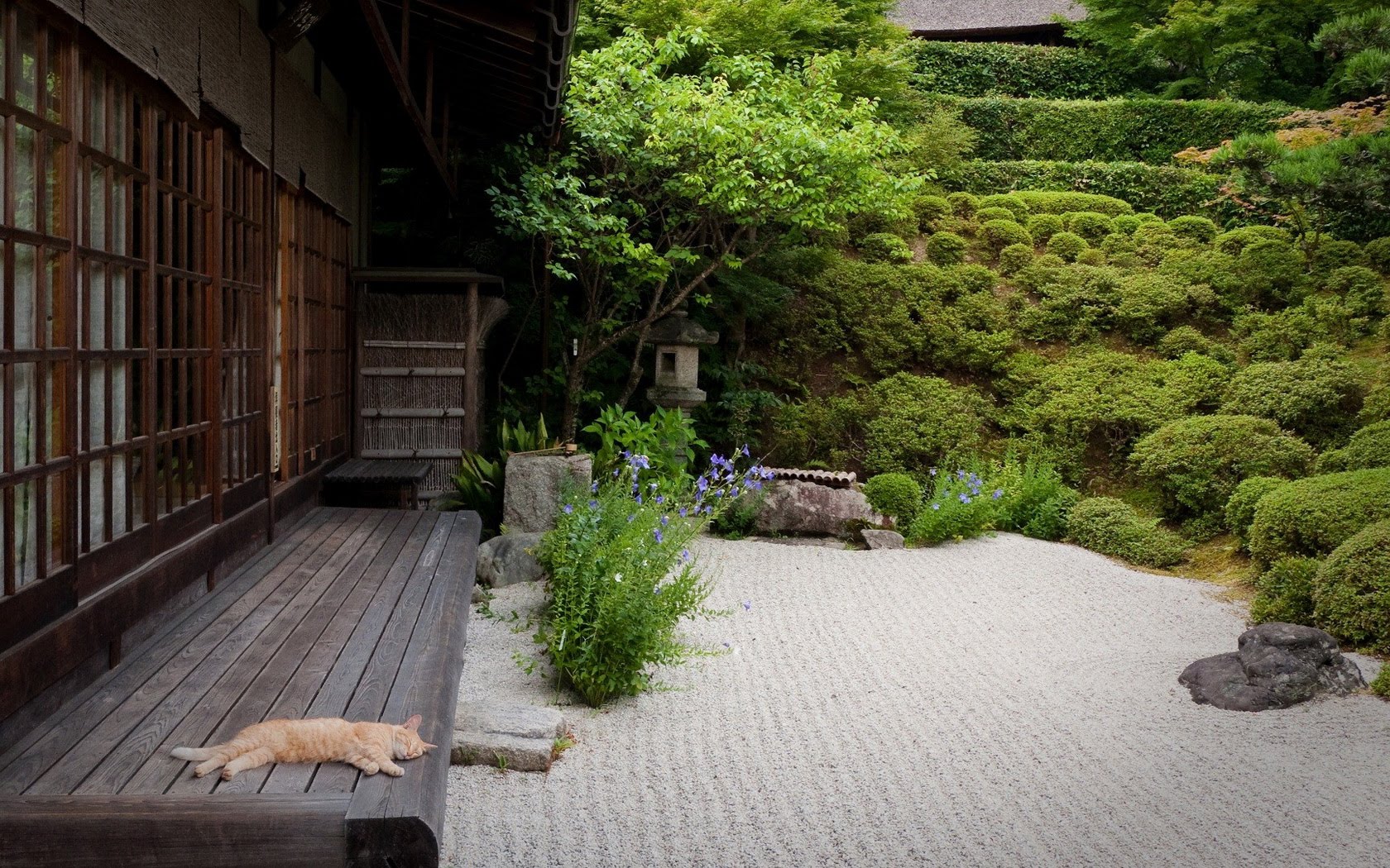 Japanese Garden #6