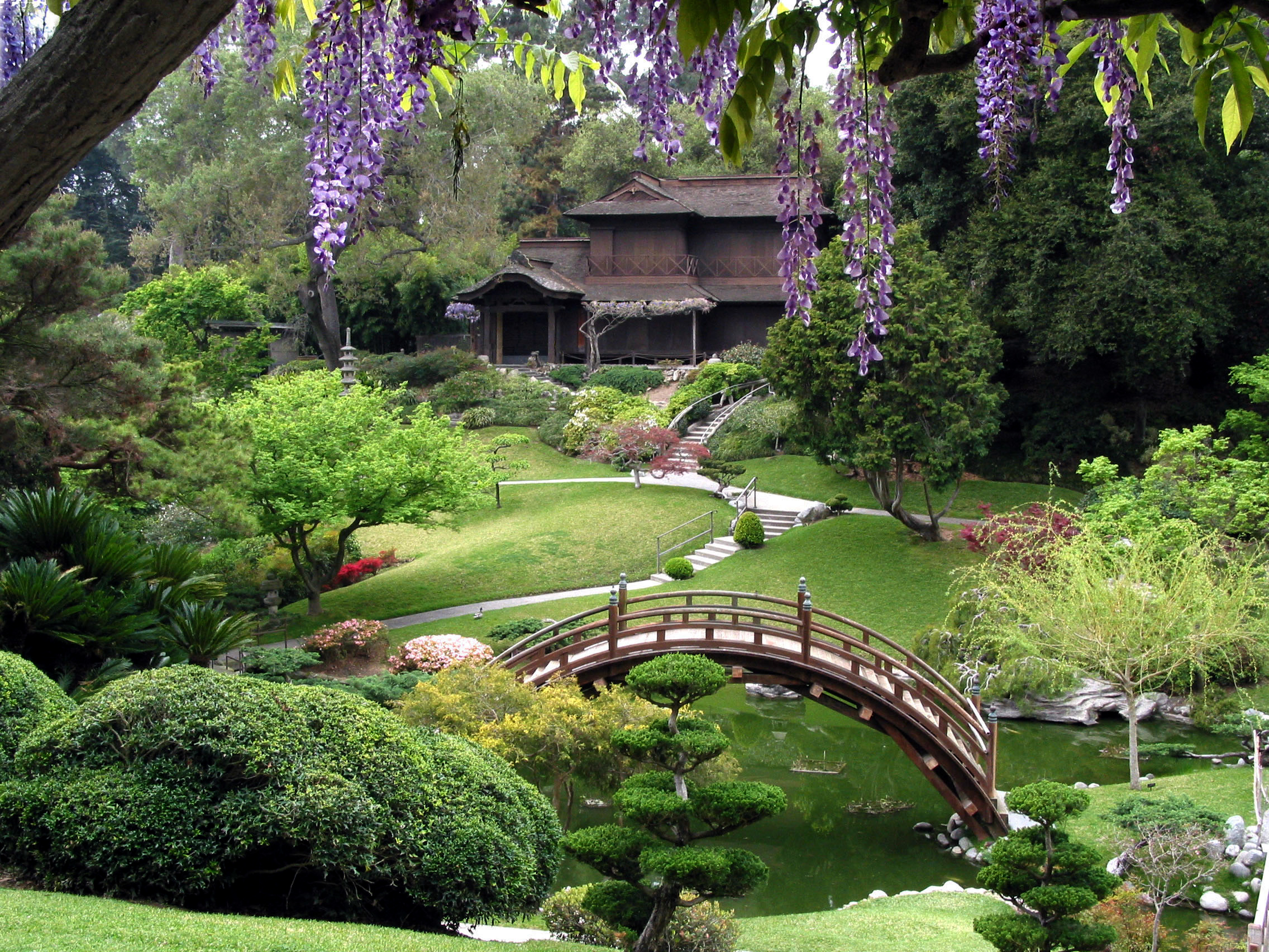 Japanese Garden #10