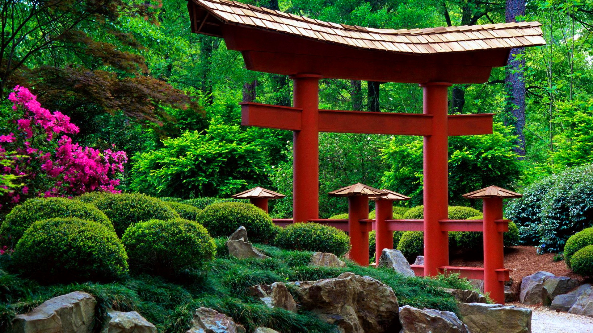 Japanese Garden #7