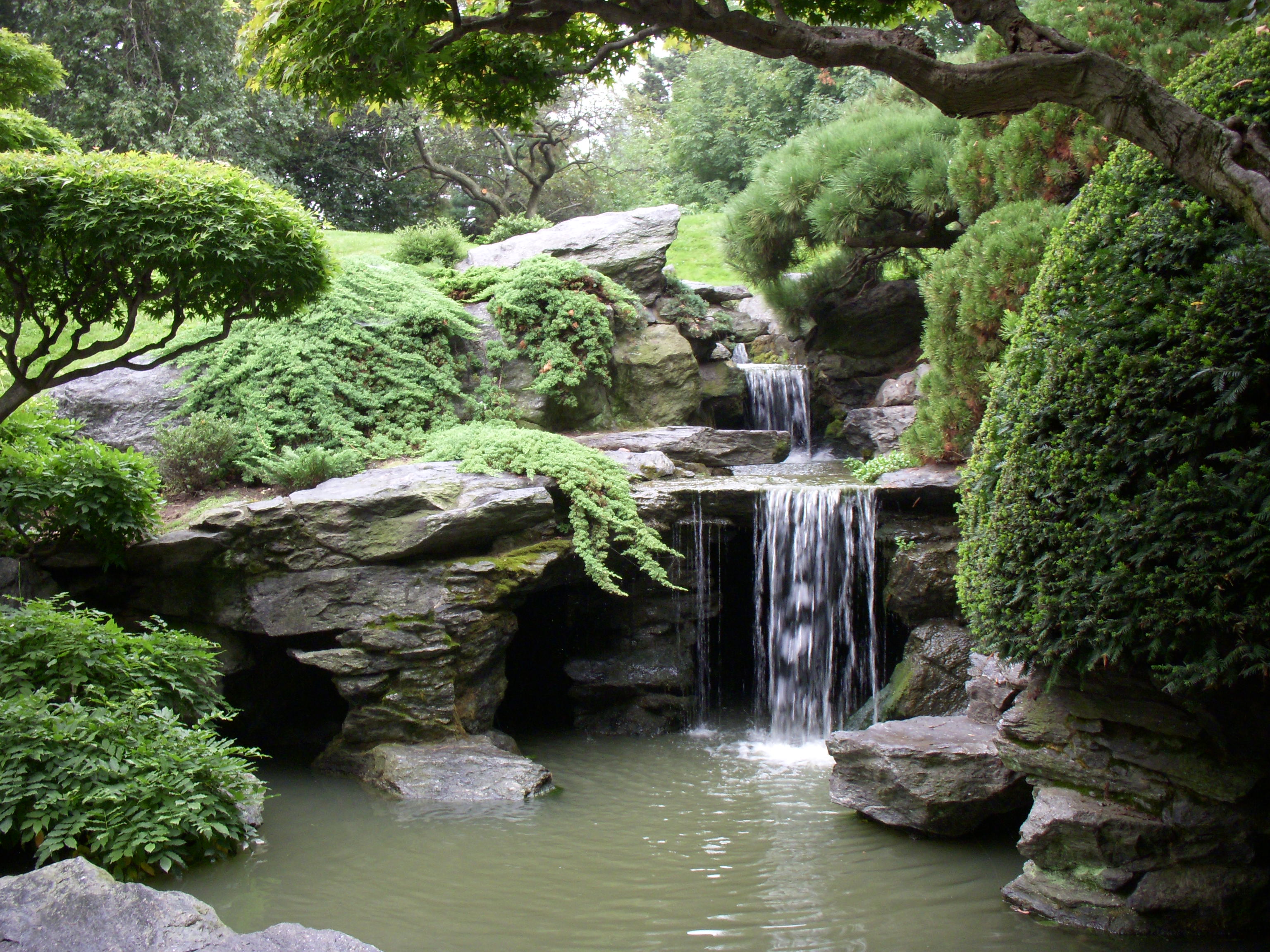 Japanese Garden #18