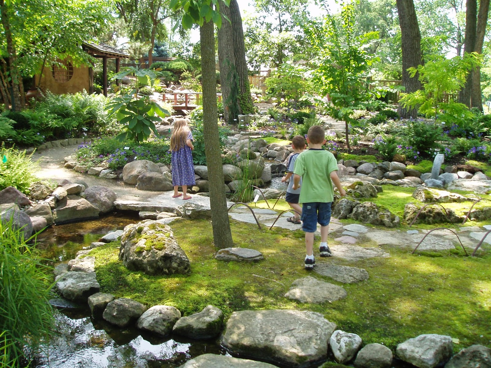 Japanese Garden #16