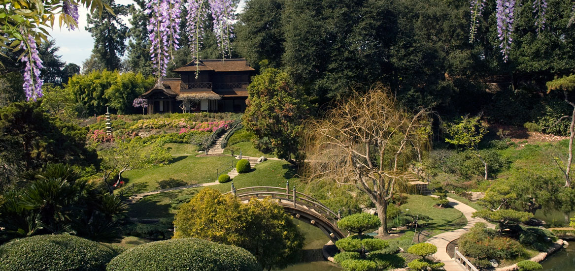 Images of Japanese Garden | 1167x551