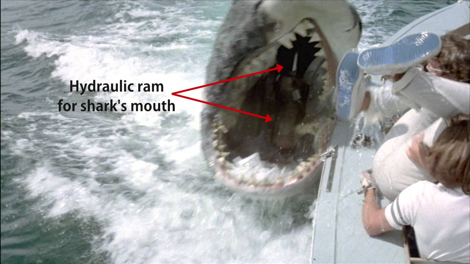 Jaws 2 #2