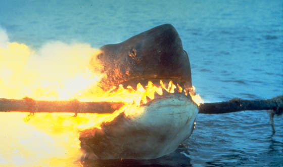 Jaws 2 Backgrounds, Compatible - PC, Mobile, Gadgets| 560x330 px