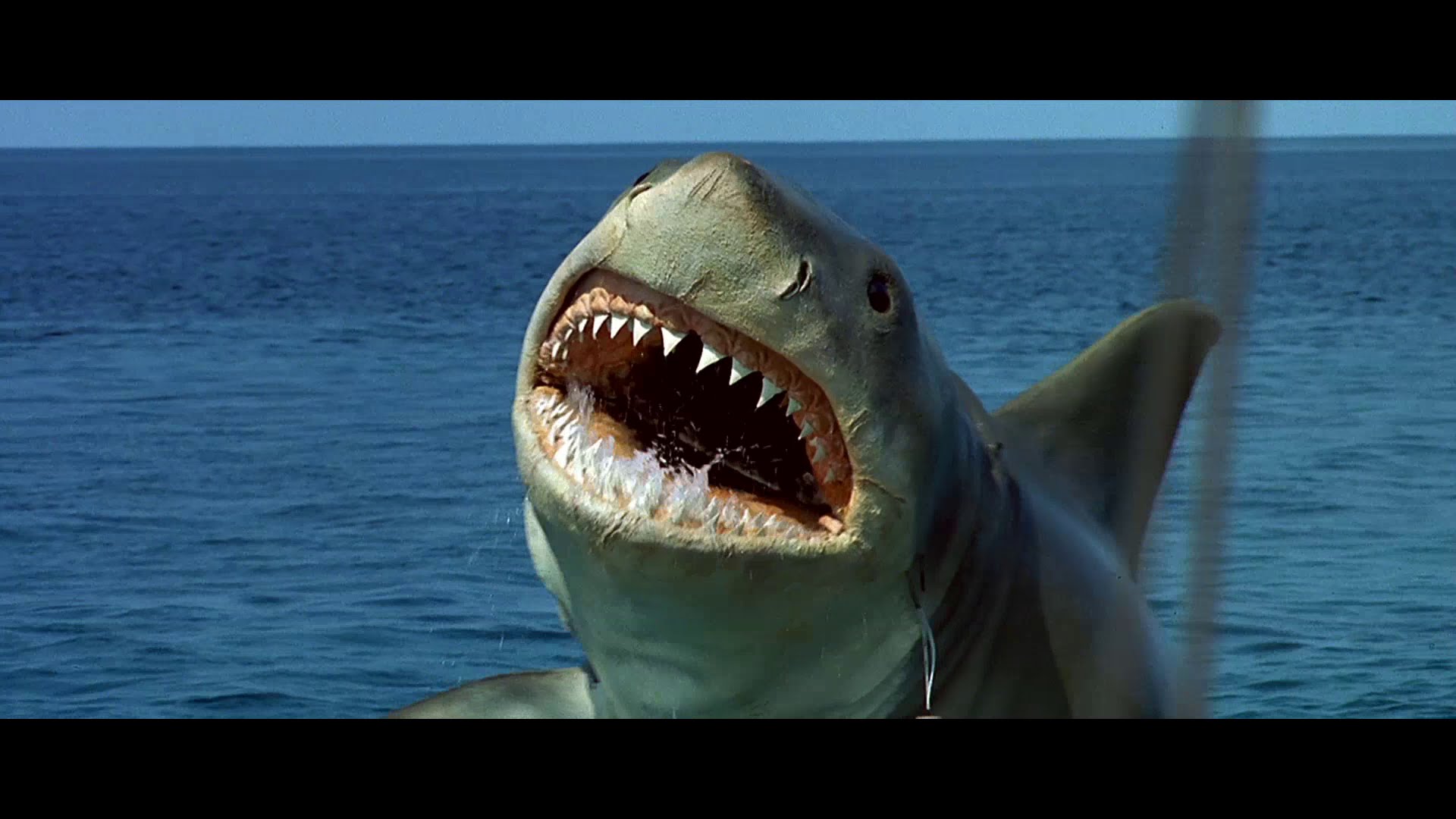 Jaws: The Revenge #4