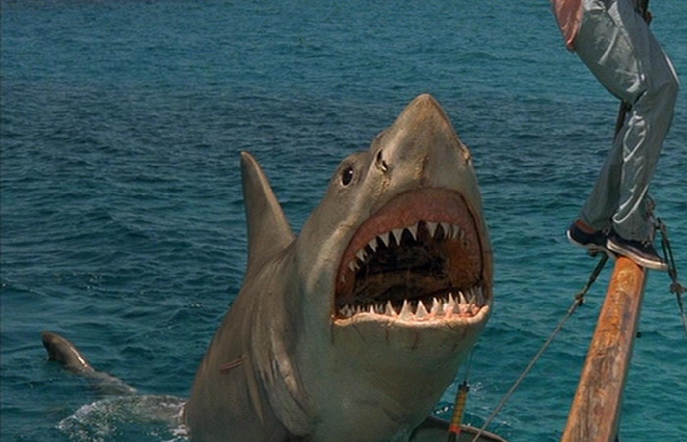 1400x900 > Jaws Wallpapers