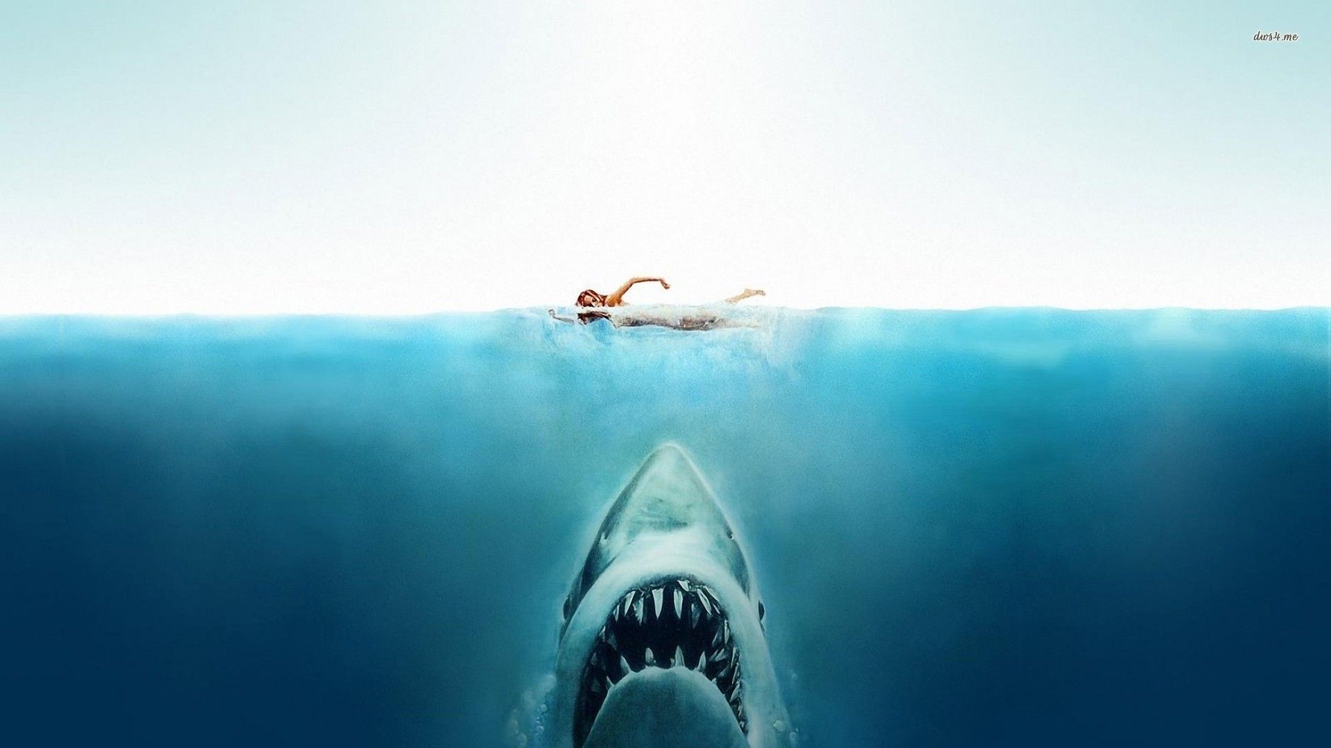 Nice Images Collection: Jaws Desktop Wallpapers